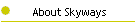 About Skyways